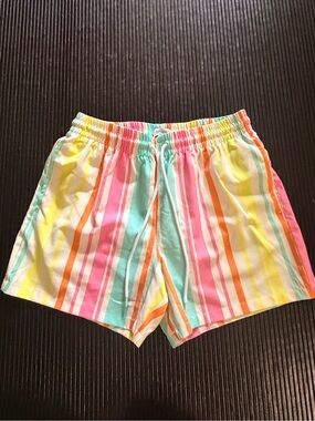 crown & ivy Multicolor Pastel Stripe Swim Trunks